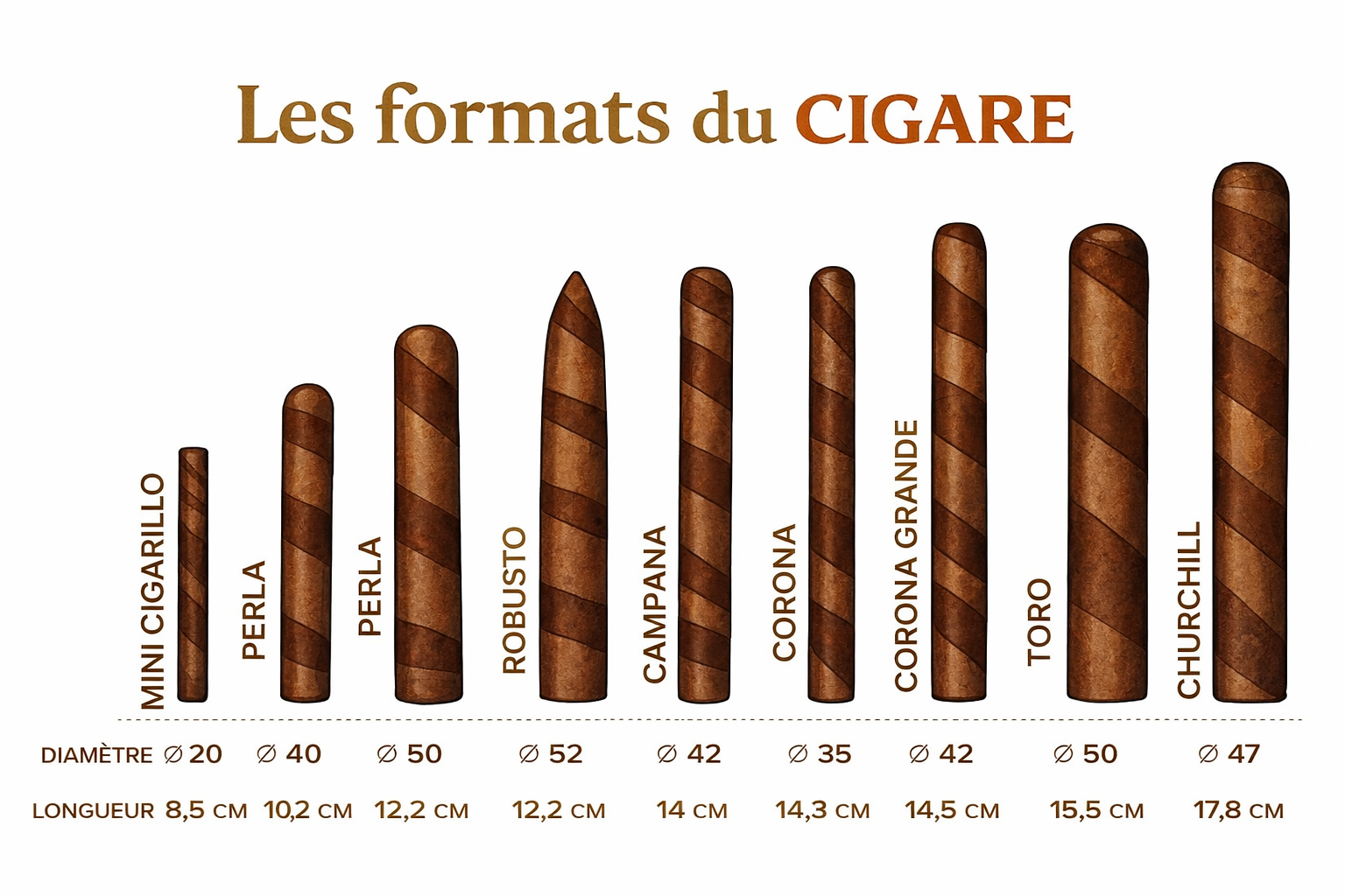 Choisir format taille cigare robusto corona churchill