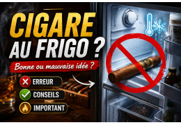 Peut-on mettre ses cigares au frigo ? (réponse + conseils)