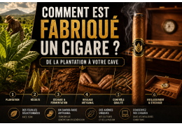 Comment est fabriqué un cigare ? De la plantation à votre cave à cigare