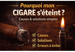 Pourquoi mon cigare s’éteint ? (causes et solutions)