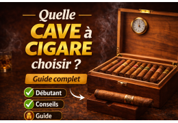 Quelle cave à cigare choisir ? (guide complet pour débutant)