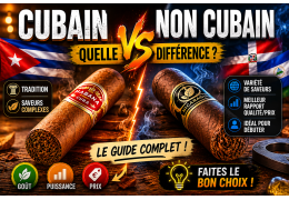 Différence entre cigare cubain et non cubain : lequel choisir ?