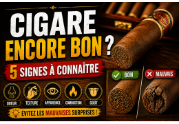 Comment savoir si un cigare est encore bon ? (guide simple)