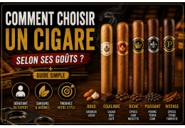 Comment choisir un cigare selon ses goûts ? (guide simple)