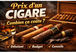 Combien coûte un cigare ? (prix, qualité et conseils)