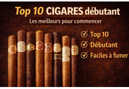 Top 10 des cigares pour débutants (faciles à apprécier)